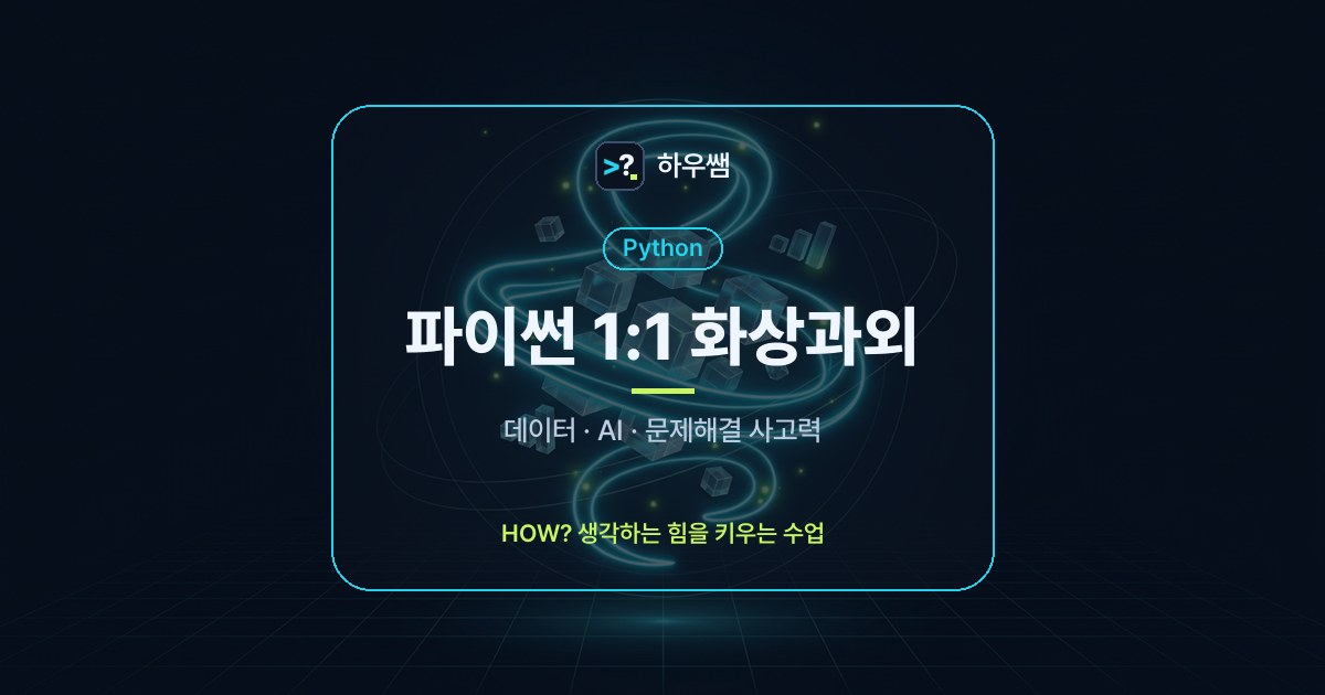 파이썬 1:1 화상과외